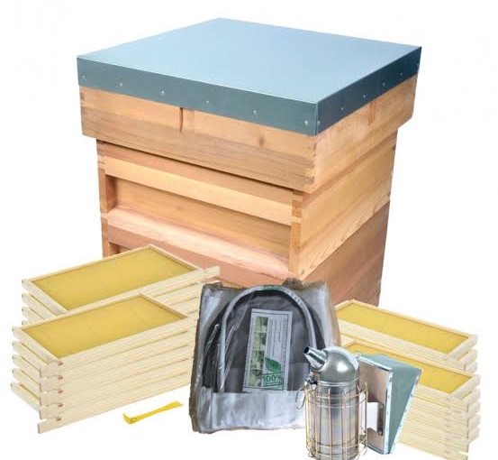 Complete Hive Kits