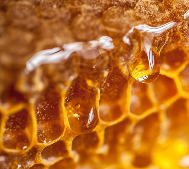 Raw Honey Products